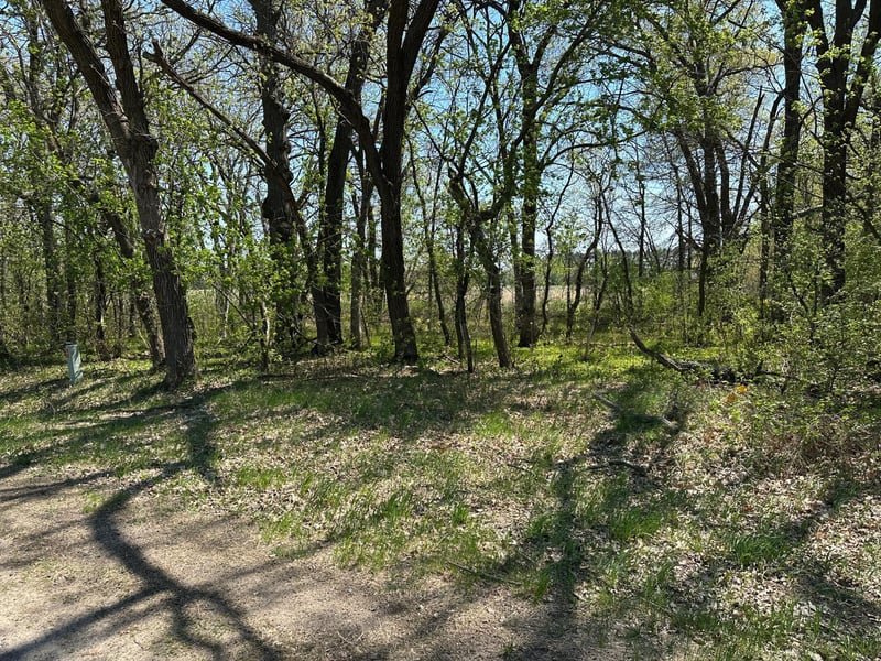 XXX 309th Ave, Princeton, MN 55371