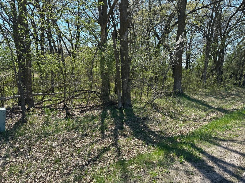 XXX 309th Ave, Princeton, MN 55371