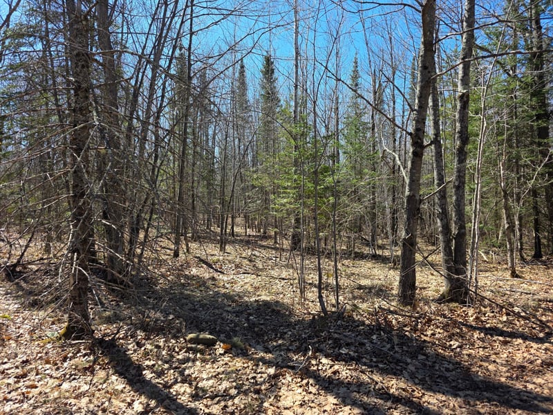 TBD Stark Rd, Cloquet, MN 55720