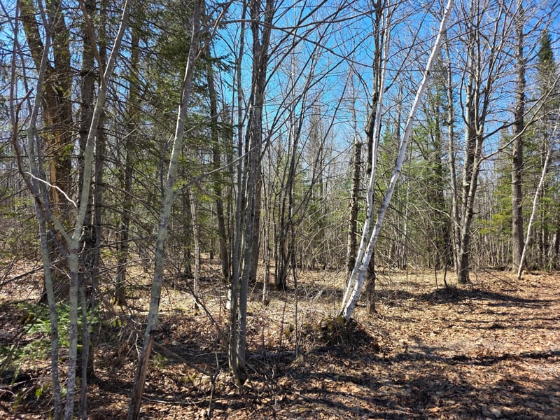 TBD Stark Rd, Cloquet, MN 55720