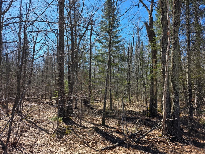 TBD Stark Rd, Cloquet, MN 55720