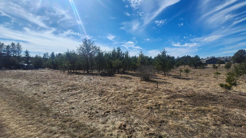 TBD East St, Breezy Point, MN 56472