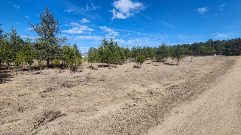 TBD East St, Breezy Point, MN 56472