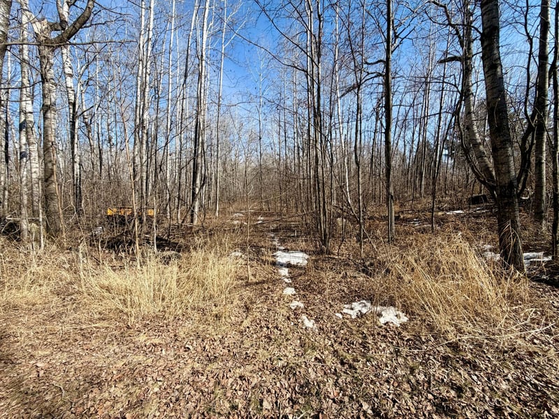 TBD First Ave N, Kelly Lake, MN 55746