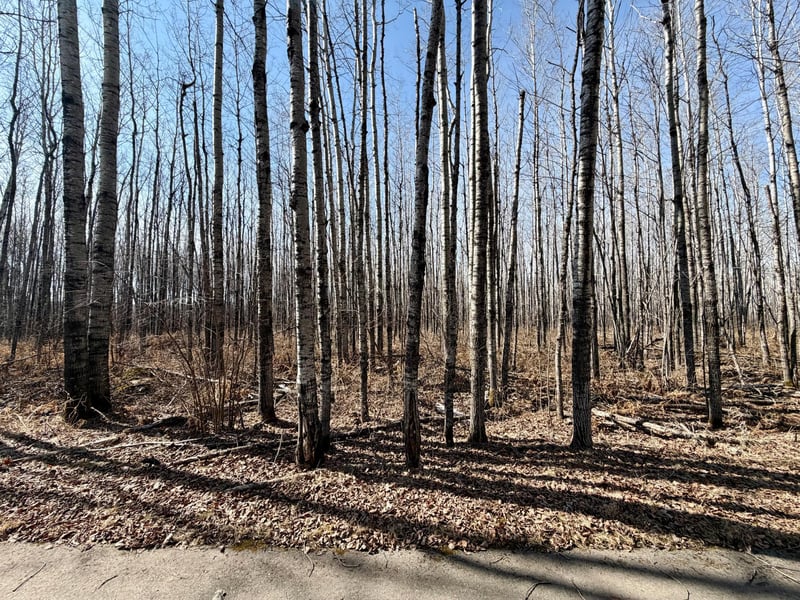 TBD First Ave N, Kelly Lake, MN 55746