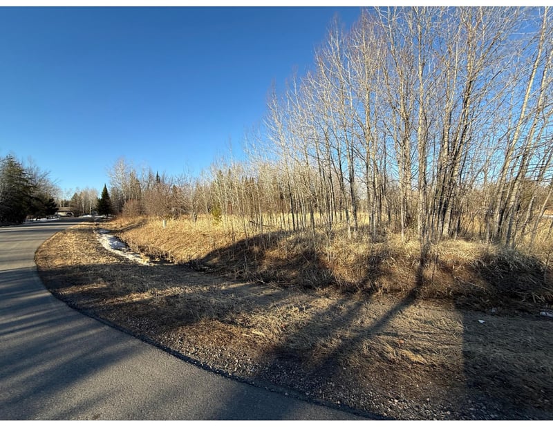 TBD Holland Dr, Aurora, MN 55705