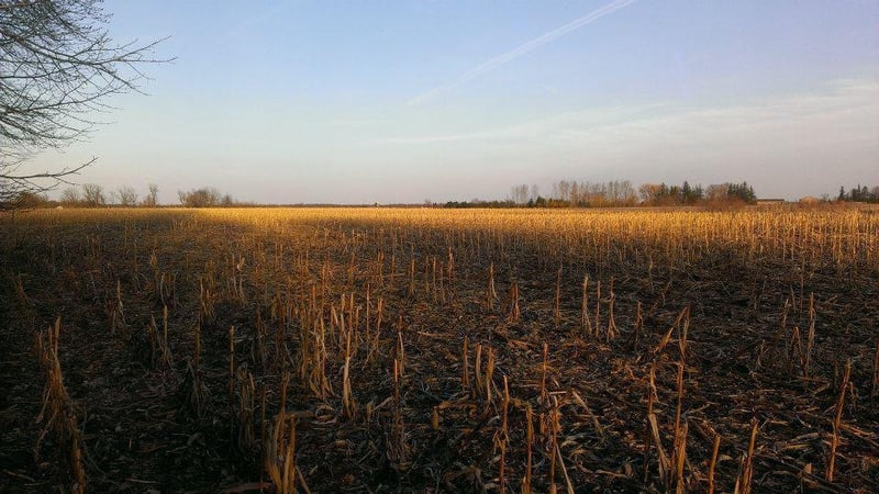 TBD 16 005 0102 Mille Lacs County, Princeton, MN 55371