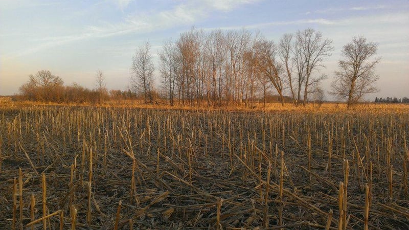 TBD 16 005 0102 Mille Lacs County, Princeton, MN 55371