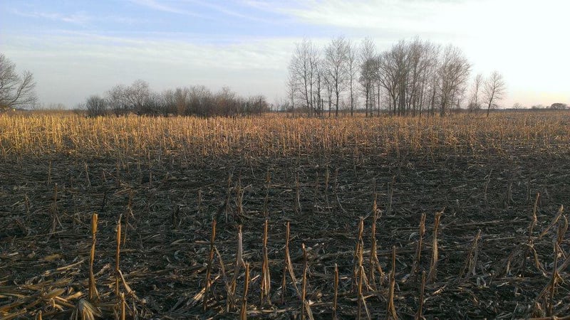 TBD 16 005 0102 Mille Lacs County, Princeton, MN 55371