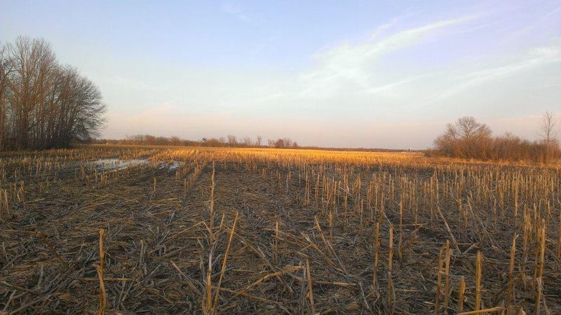 TBD 16 005 0102 Mille Lacs County, Princeton, MN 55371