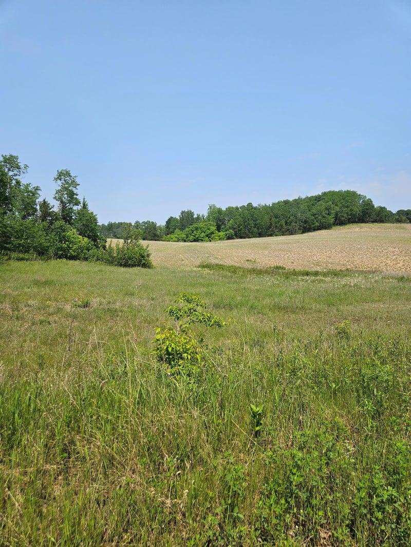 TBD 20 Acres Ranchette Dr, Breezy Point, MN 56472