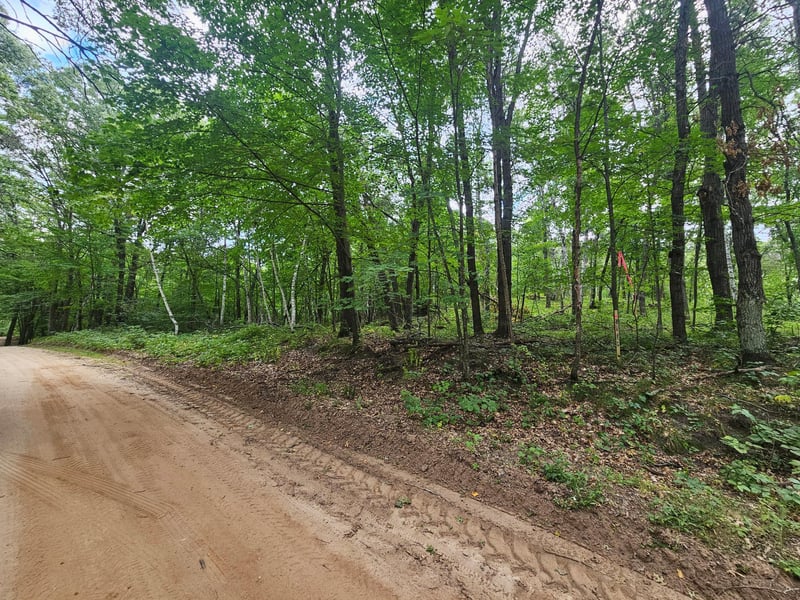 TBD Tract C Richfield Rd SW, Pillager, MN 56473