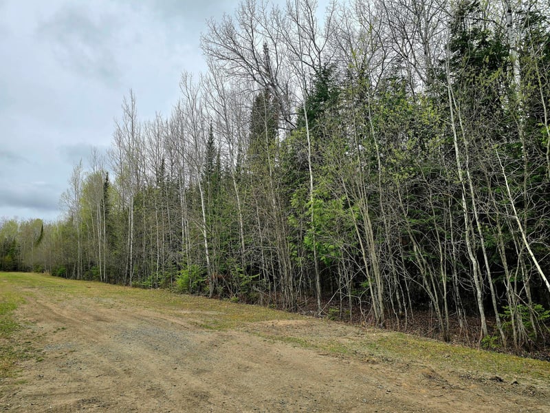 TBD 4th Avenue 22nd St W, International Falls, MN 56649