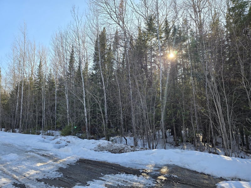 TBD 4th Avenue 22nd St W, International Falls, MN 56649
