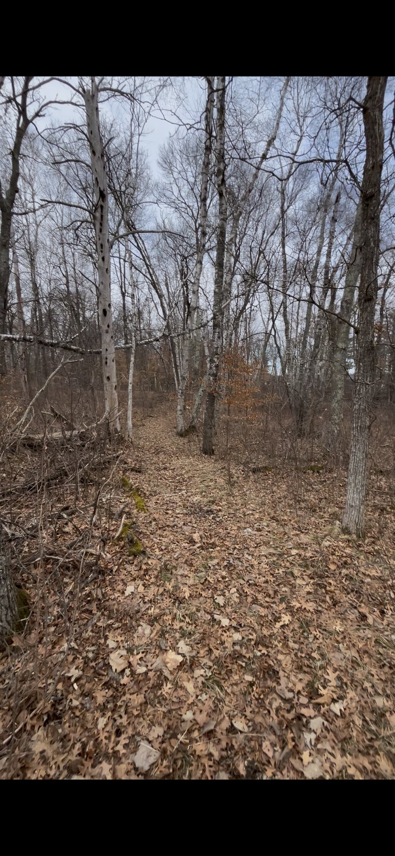 TBD Big Pine Trl, Crosslake, MN 56442