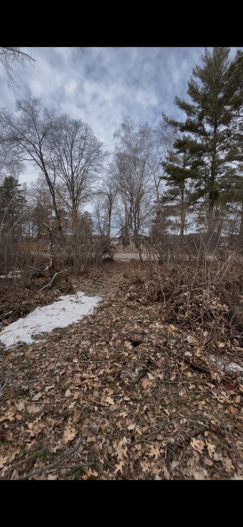 TBD Big Pine Trl, Crosslake, MN 56442