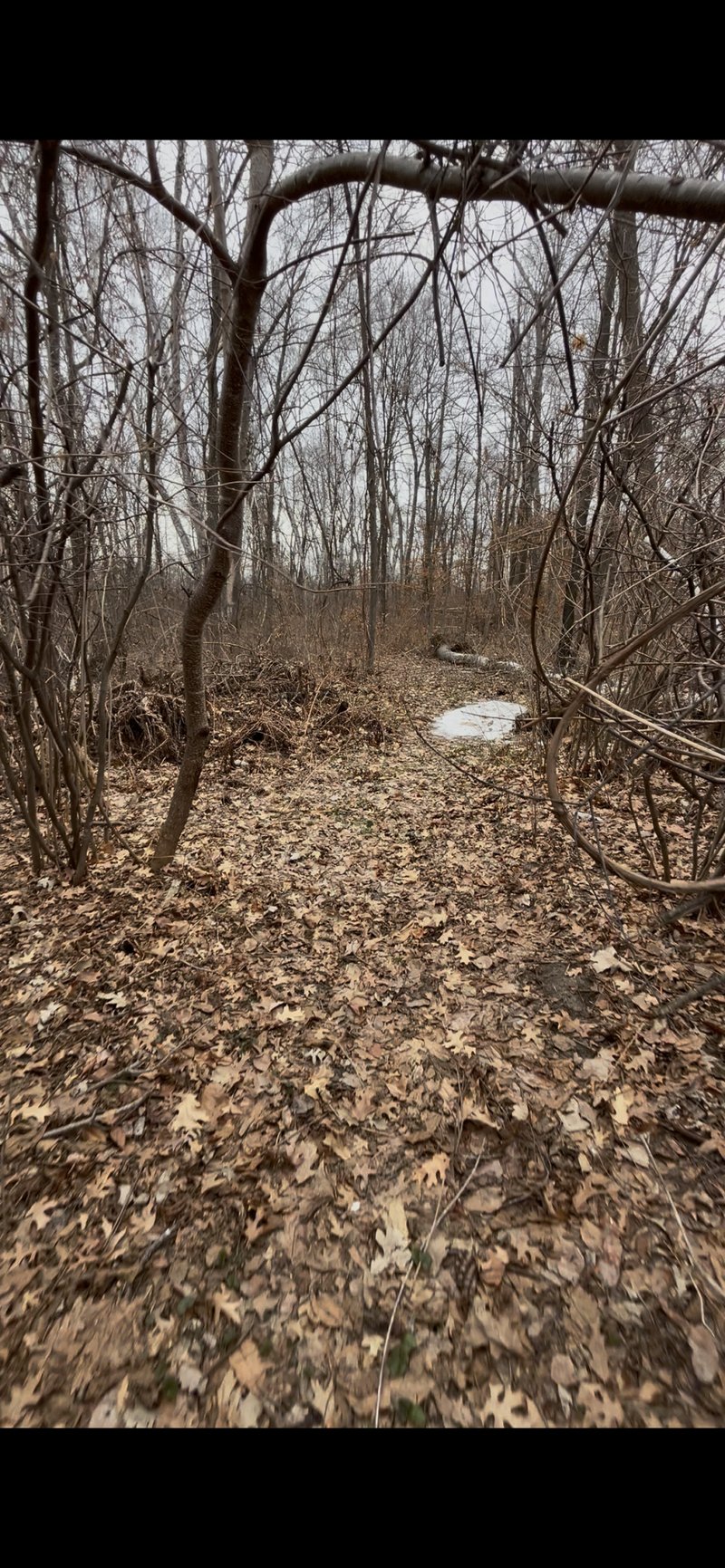 TBD Big Pine Trl, Crosslake, MN 56442