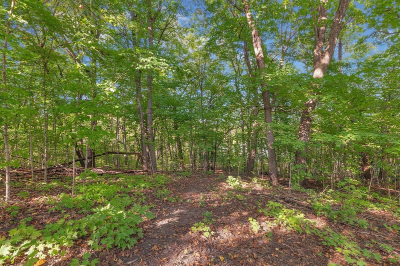 12814 Juniper Rd, Saint Joseph, MN 56374