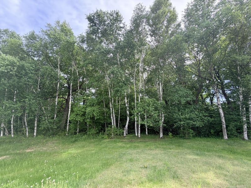 21781 Trestle Ridge Rd, Albany, MN 56307