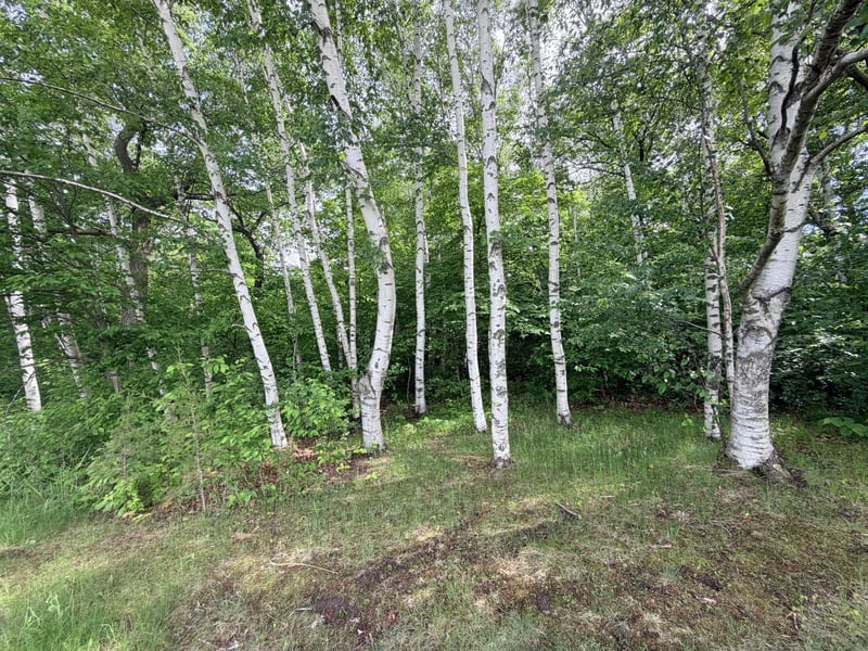 21781 Trestle Ridge Rd, Albany, MN 56307
