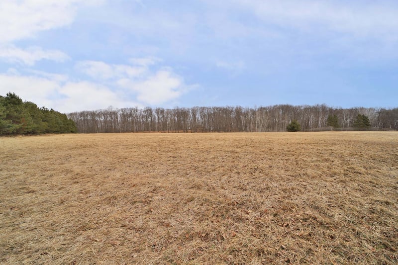 TBD County Road 12, Ironton, MN 56455