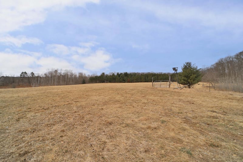 TBD County Road 12, Ironton, MN 56455