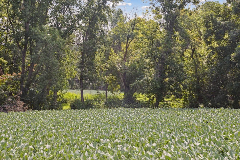 24x3 Holy Name Dr, Medina, MN 55340