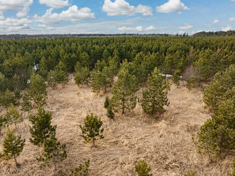 34882 Scenic Hw, Bovey, MN 55709
