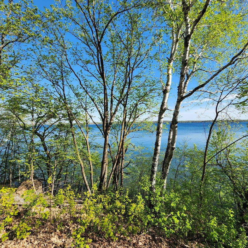 TBD Knollwood Ln, Pelican Rapids, MN 56572