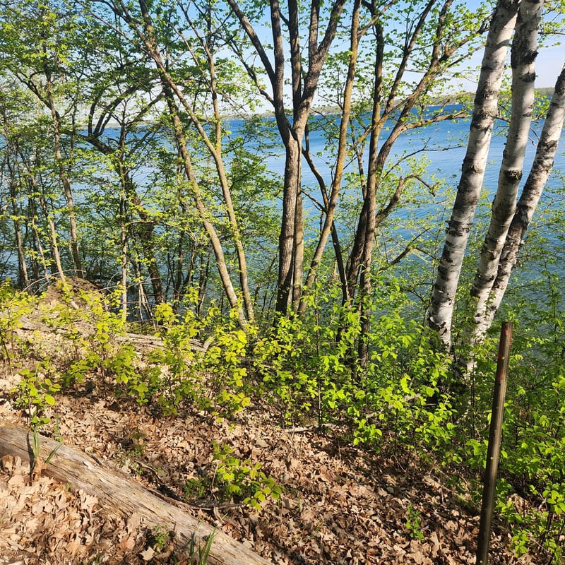 TBD Knollwood Ln, Pelican Rapids, MN 56572