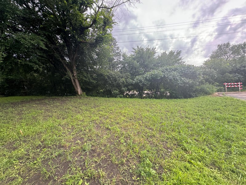 409 S Orange St, Waconia, MN 55387
