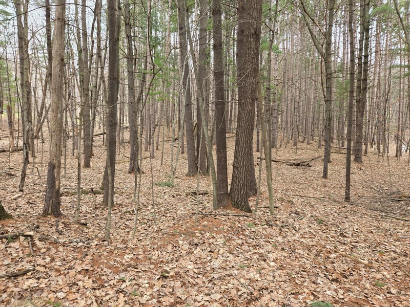 Lot 3 732nd Ave, Menomonie, WI 54751
