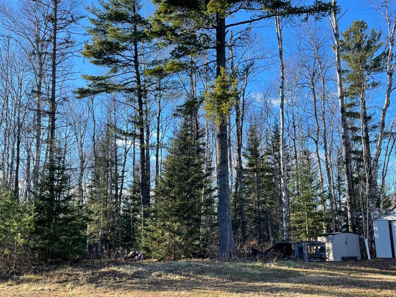 328 Ball Club Rd, Grand Marais, MN 55604