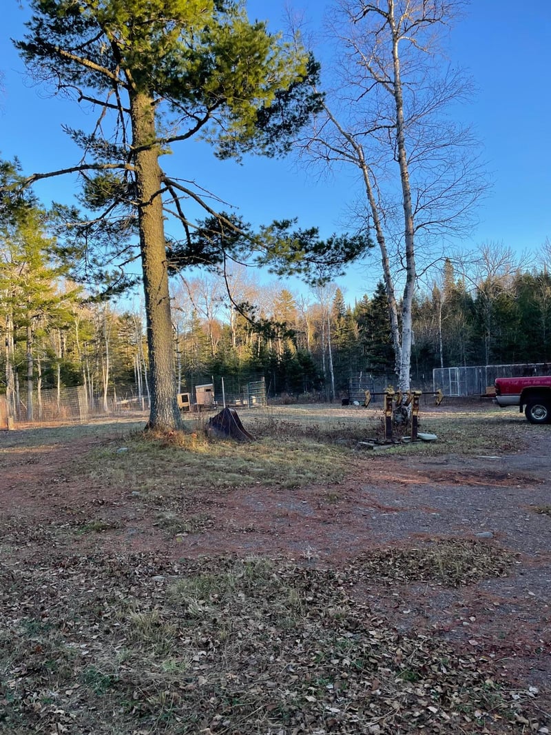 328 Ball Club Rd, Grand Marais, MN 55604