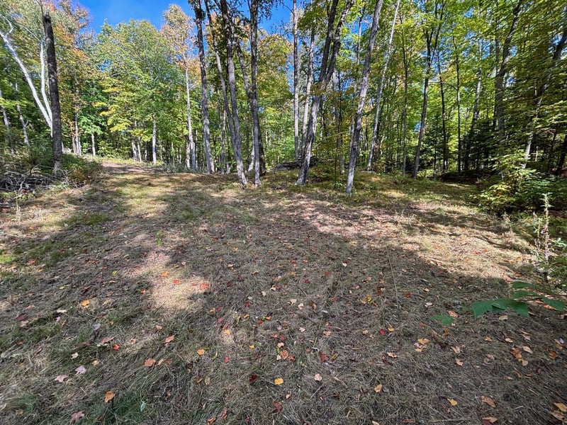 TBD North Sherrys Arm Rd, Grand Rapids, MN 55744