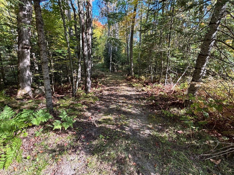 TBD North Sherrys Arm Rd, Grand Rapids, MN 55744