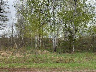 3730 S Maple Dr, Barnum Twp, MN 55707
