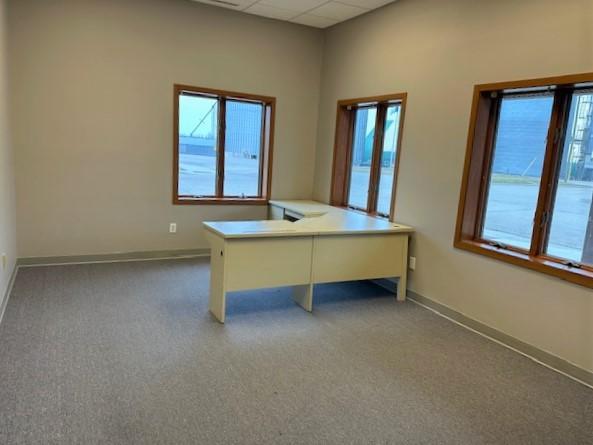 242 N 2nd St, Milan, MN 56262