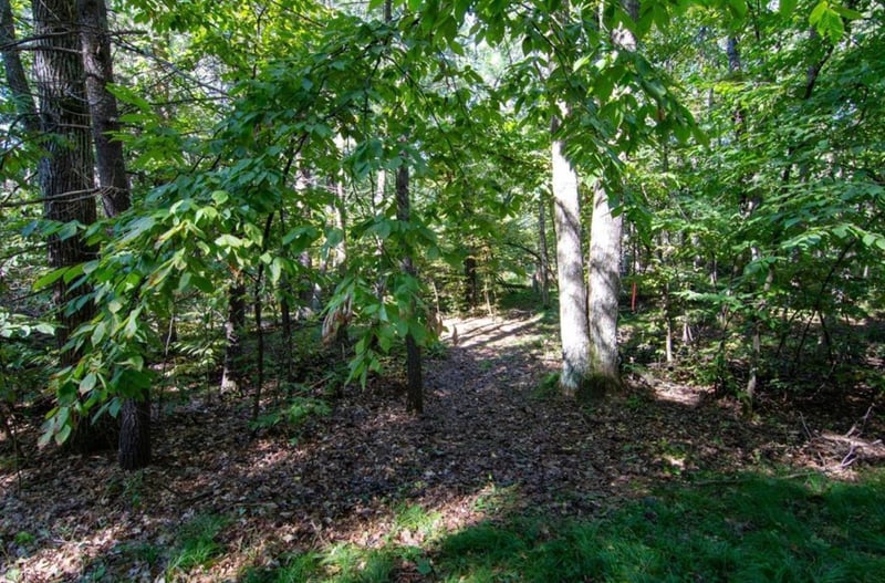 TBD Deacons Way, Pequot Lakes, MN 56472
