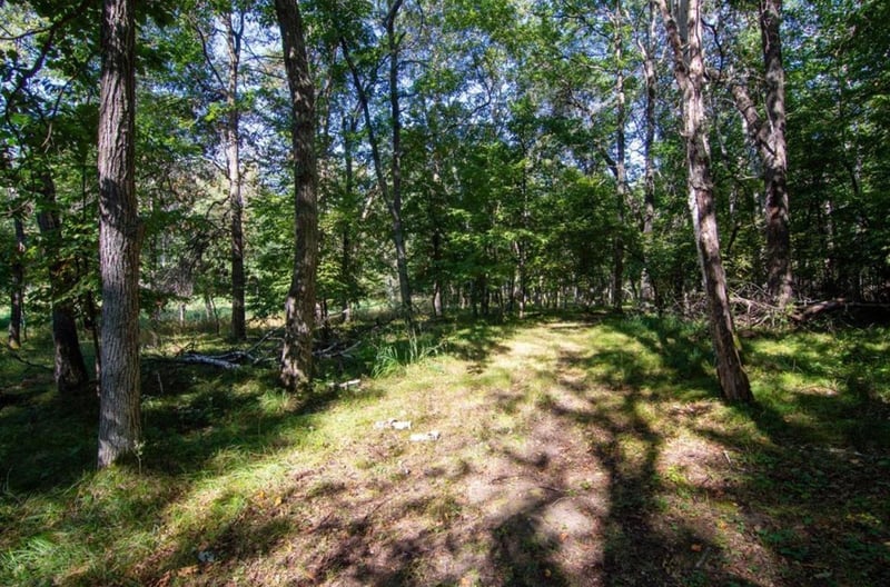 TBD Deacons Way, Pequot Lakes, MN 56472