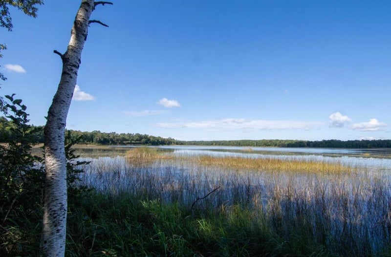 TBD Deacons Way, Pequot Lakes, MN 56472