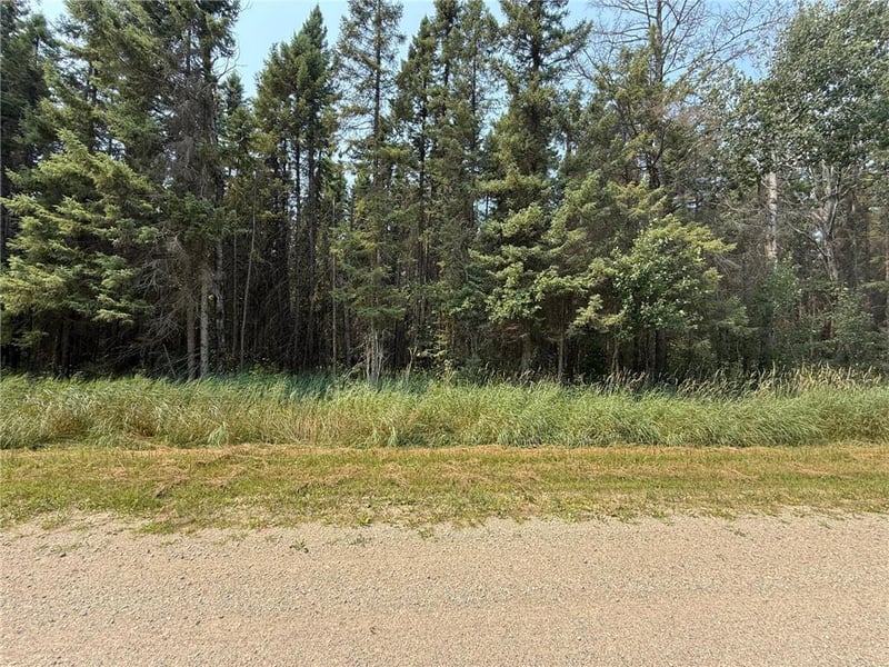 TBD 40 Acres Sunflower, Kelliher, MN 56650
