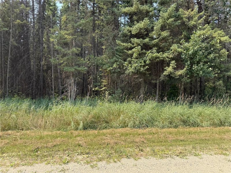 TBD 40 Acres Sunflower, Kelliher, MN 56650