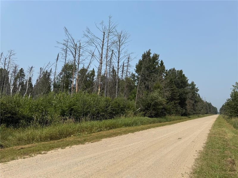 TBD 40 Acres Sunflower, Kelliher, MN 56650