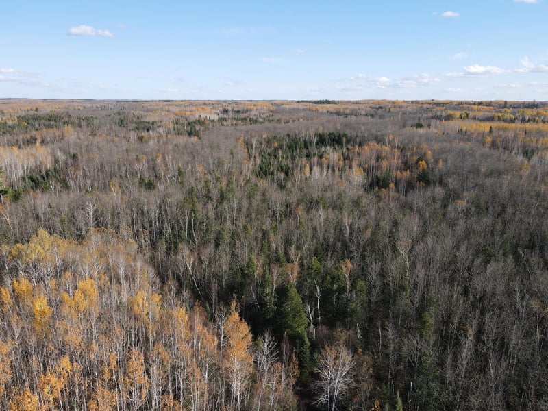 TBD Rice Rapids Rd, Effie, MN 56639