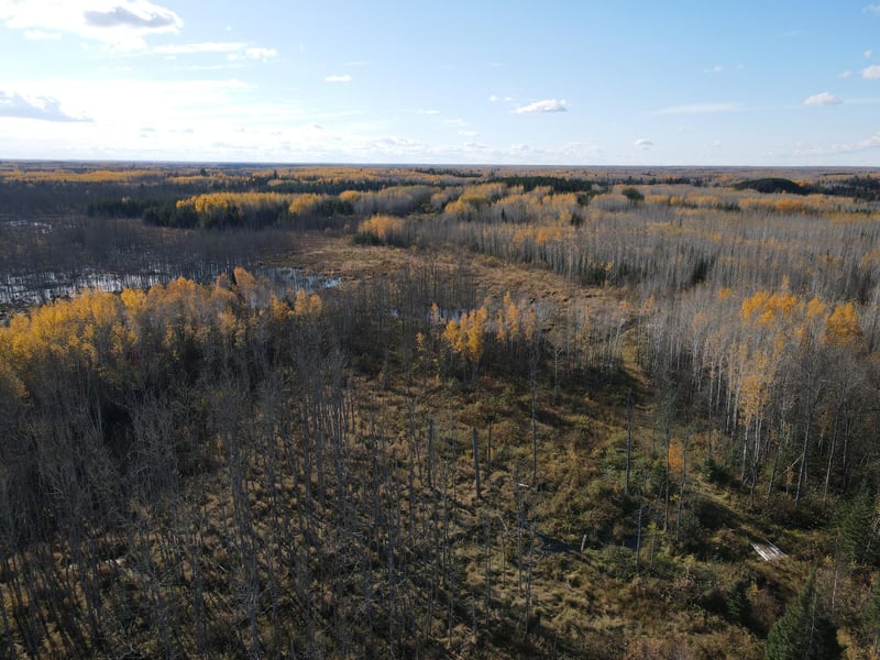 TBD Rice Rapids Rd, Effie, MN 56639