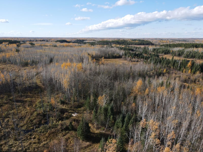 TBD Rice Rapids Rd, Effie, MN 56639