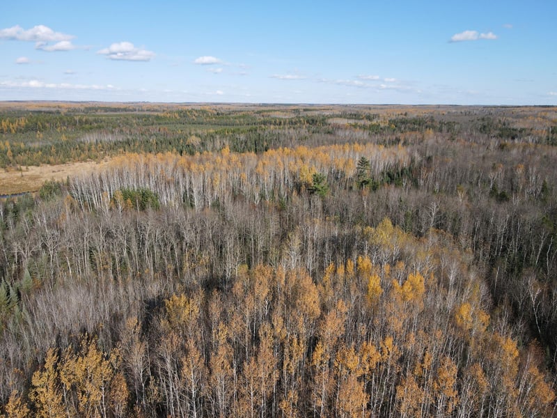 TBD Rice Rapids Rd, Effie, MN 56639