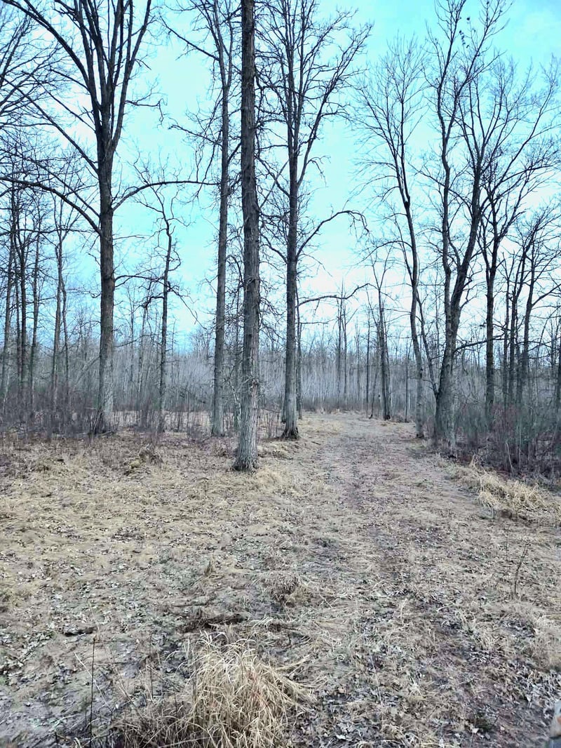 194X Old Creamery Rd, Sturgeon Lake, MN 55783
