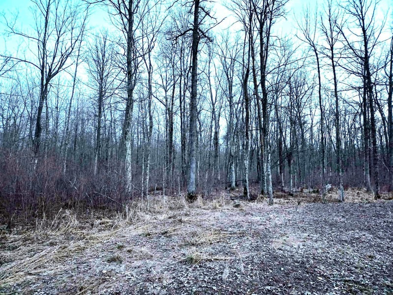 194X Old Creamery Rd, Sturgeon Lake, MN 55783